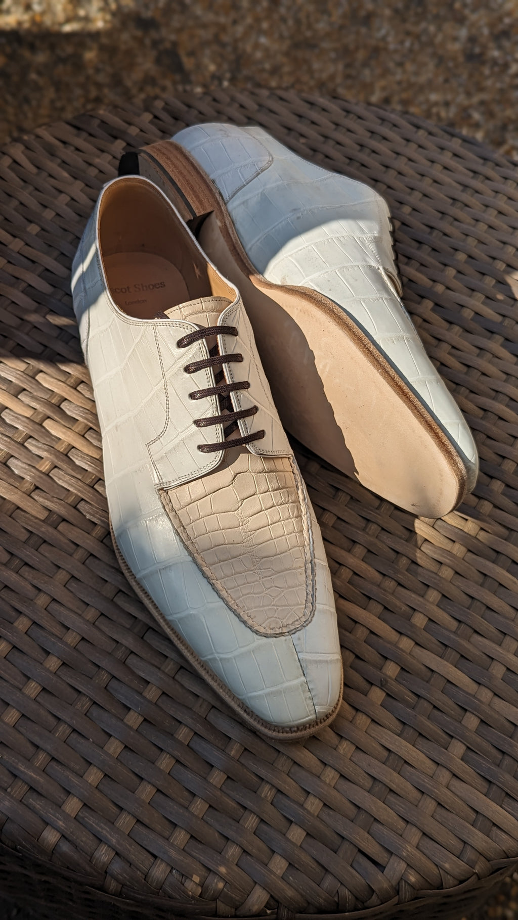 Ascot Kaan - White & Cream Crocodile - Ascot Shoes