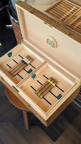 Custom cigar humidors - Beige Crocodile