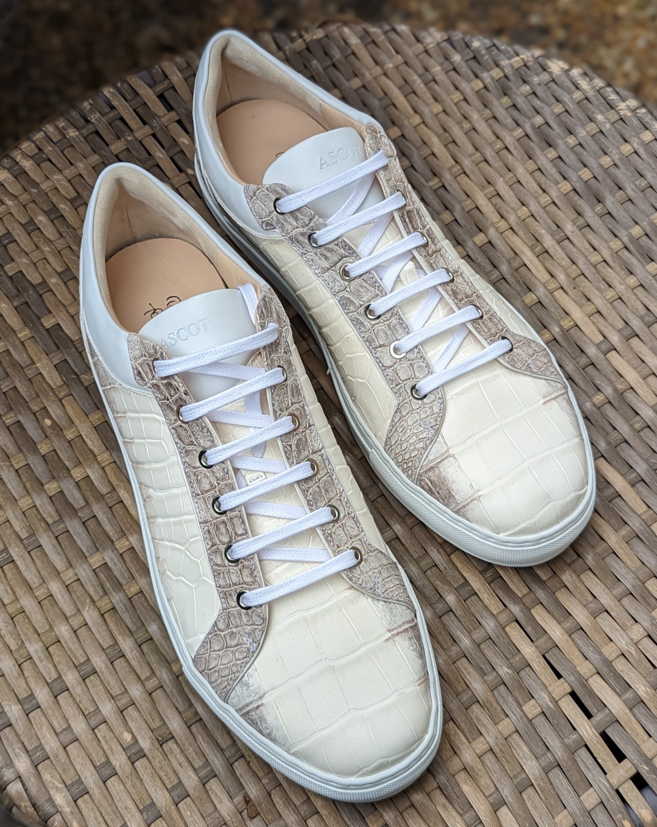 Ascot Sneakers - Himalayan Alligator - Ascot Shoes