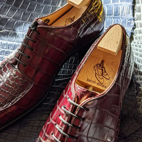 Ascot Kaan - Bordeaux Alligator