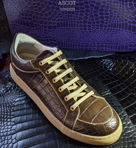 Ascot Sneakers - Brown Crocodile