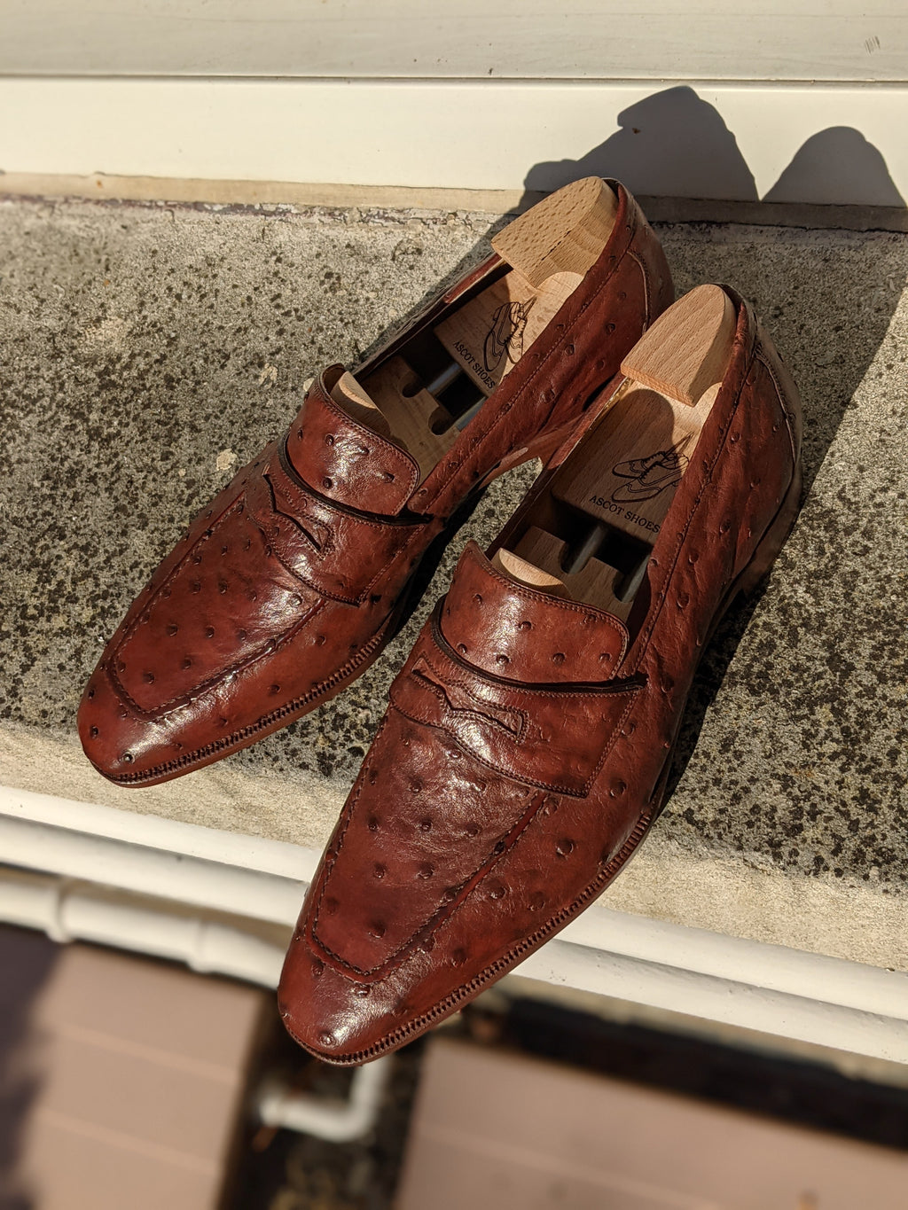 Ascot Sinatra - Cognac Ostrich - Ascot Shoes