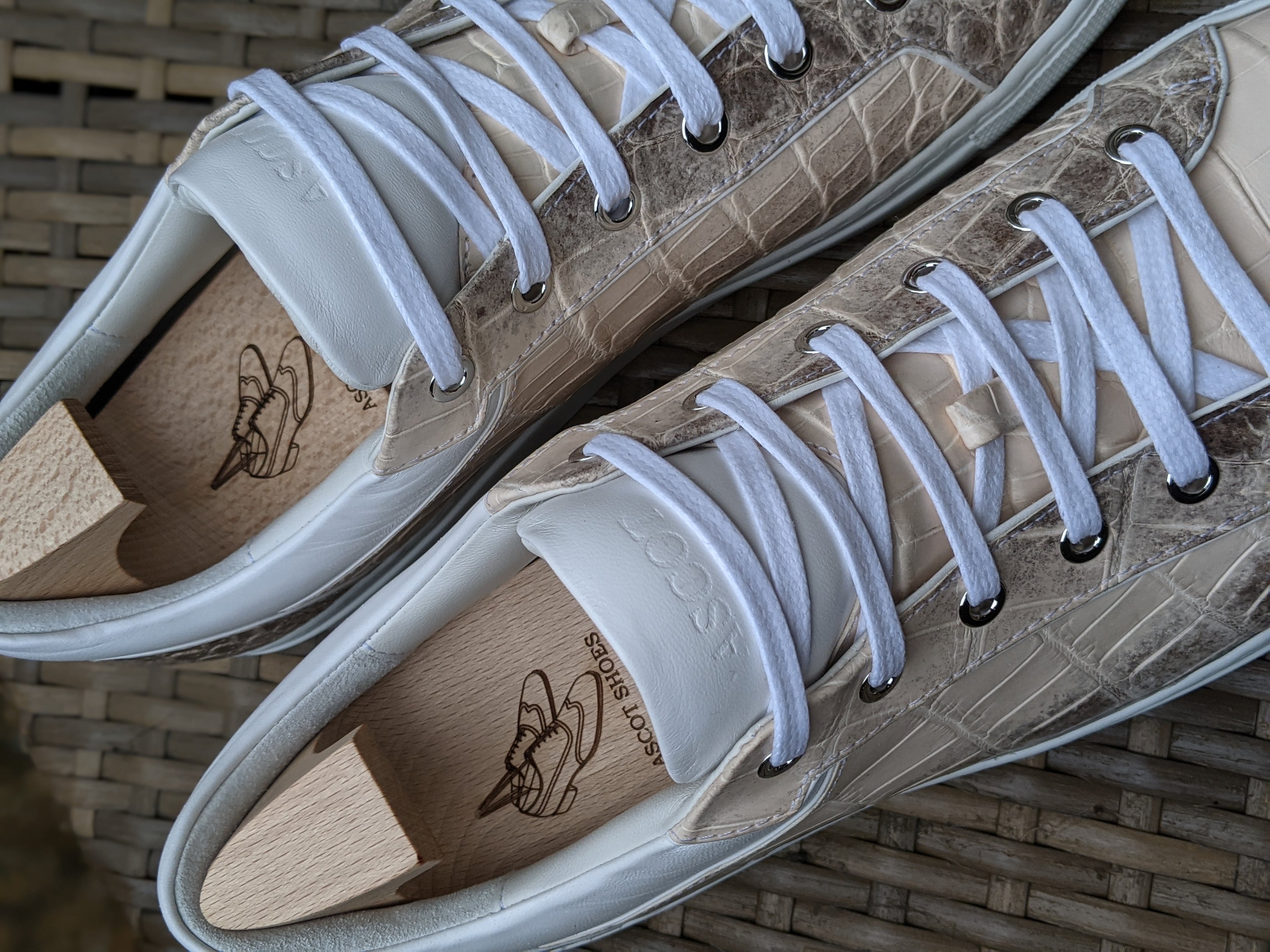 Ascot Sneakers - Himalayan Alligator - Ascot Shoes