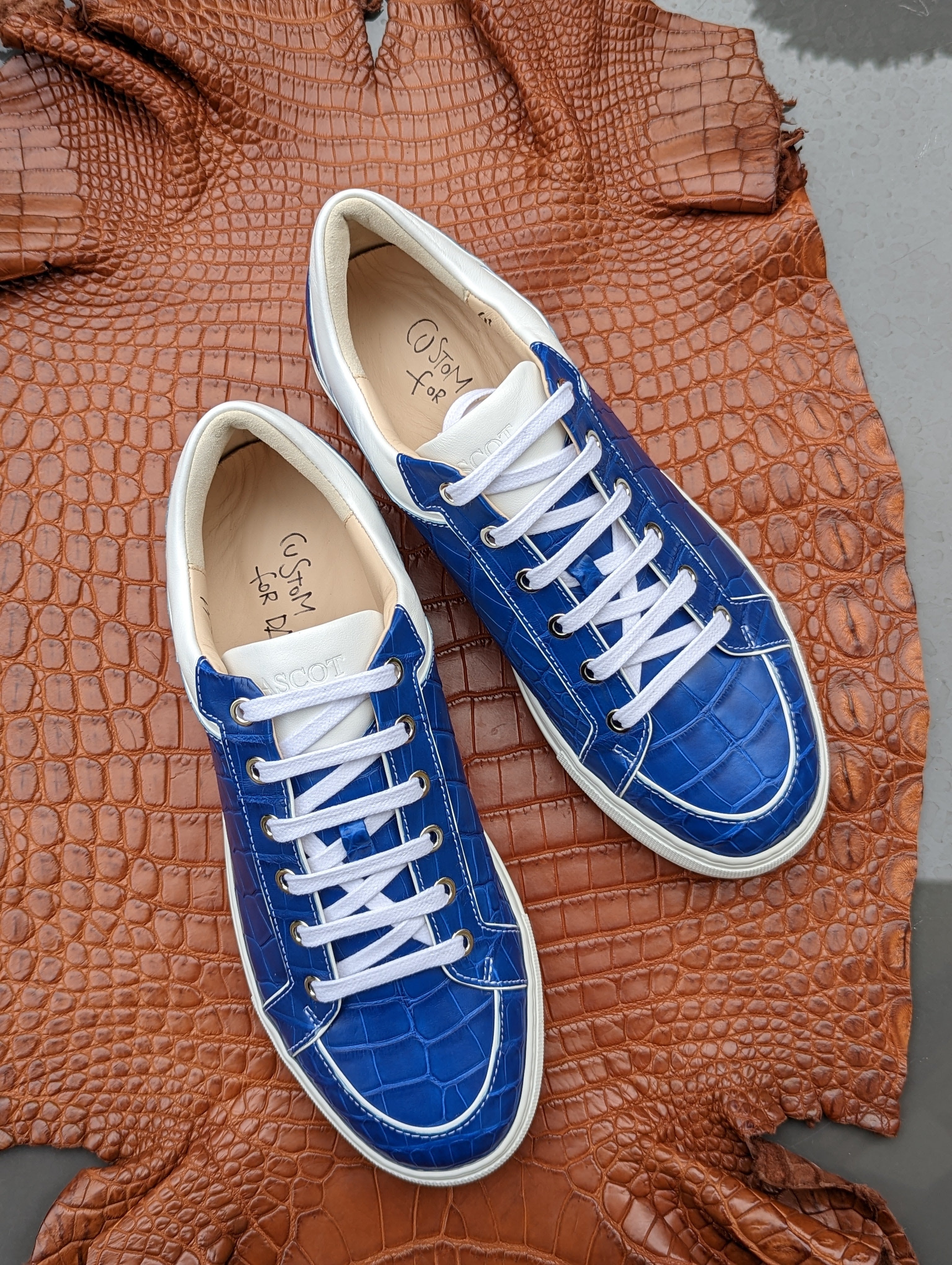 Ascot Sneakers - King Blue - Ascot Shoes