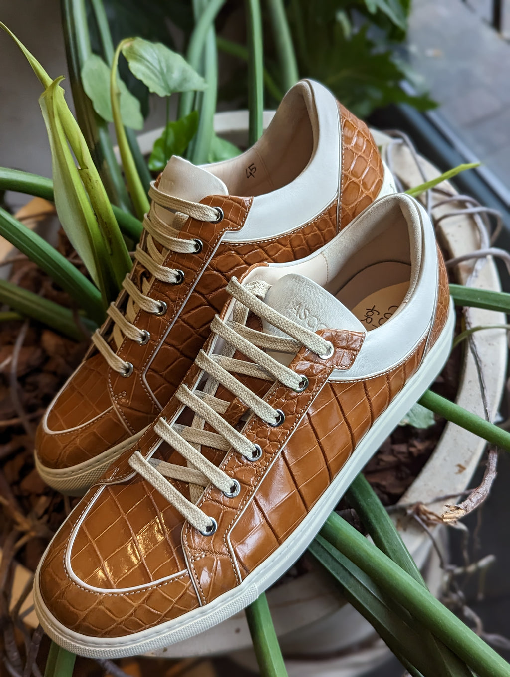 Ascot Sneakers - Tan Crocodile - Ascot Shoes