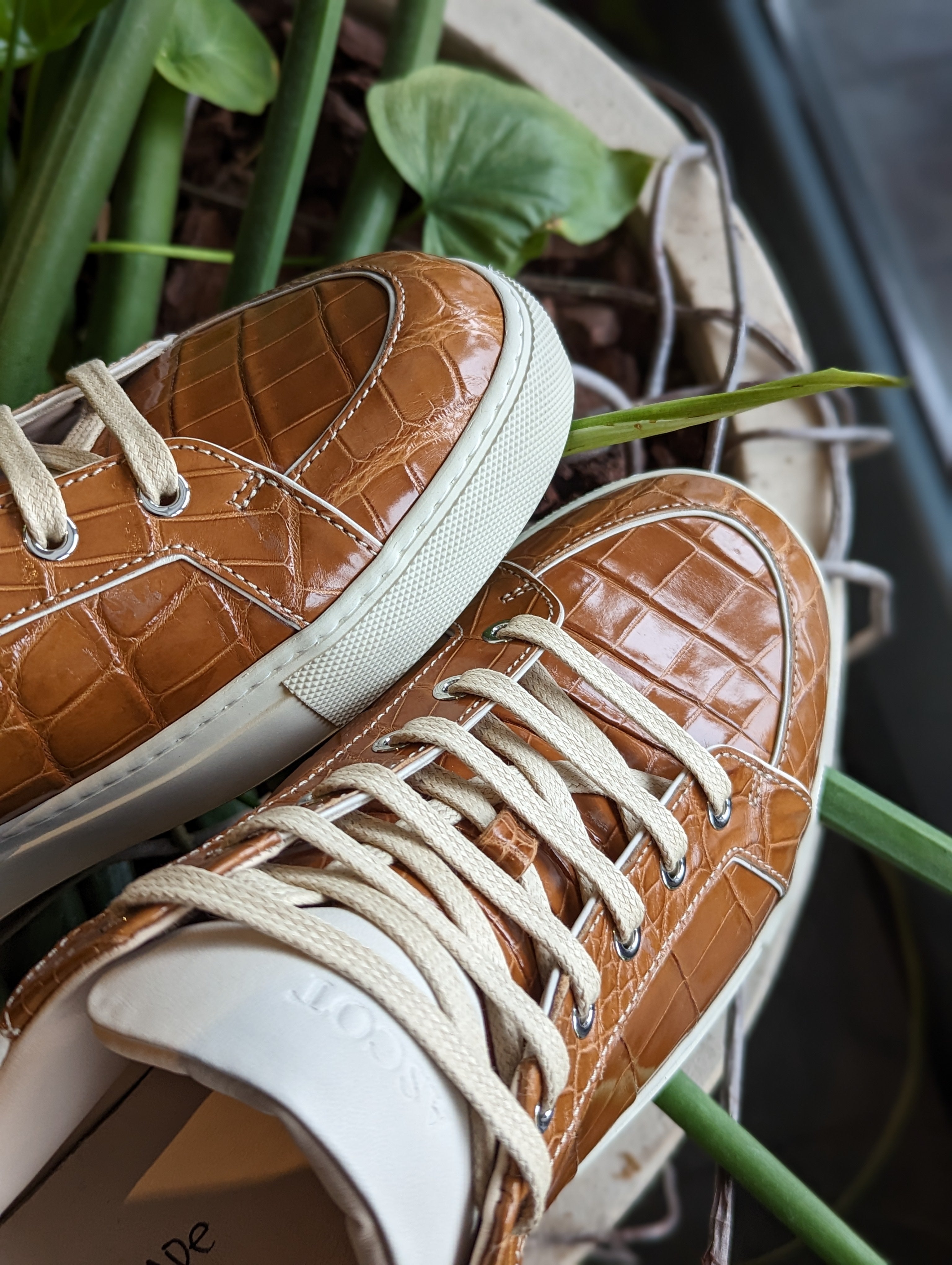 Ascot Sneakers - Tan Crocodile - Ascot Shoes