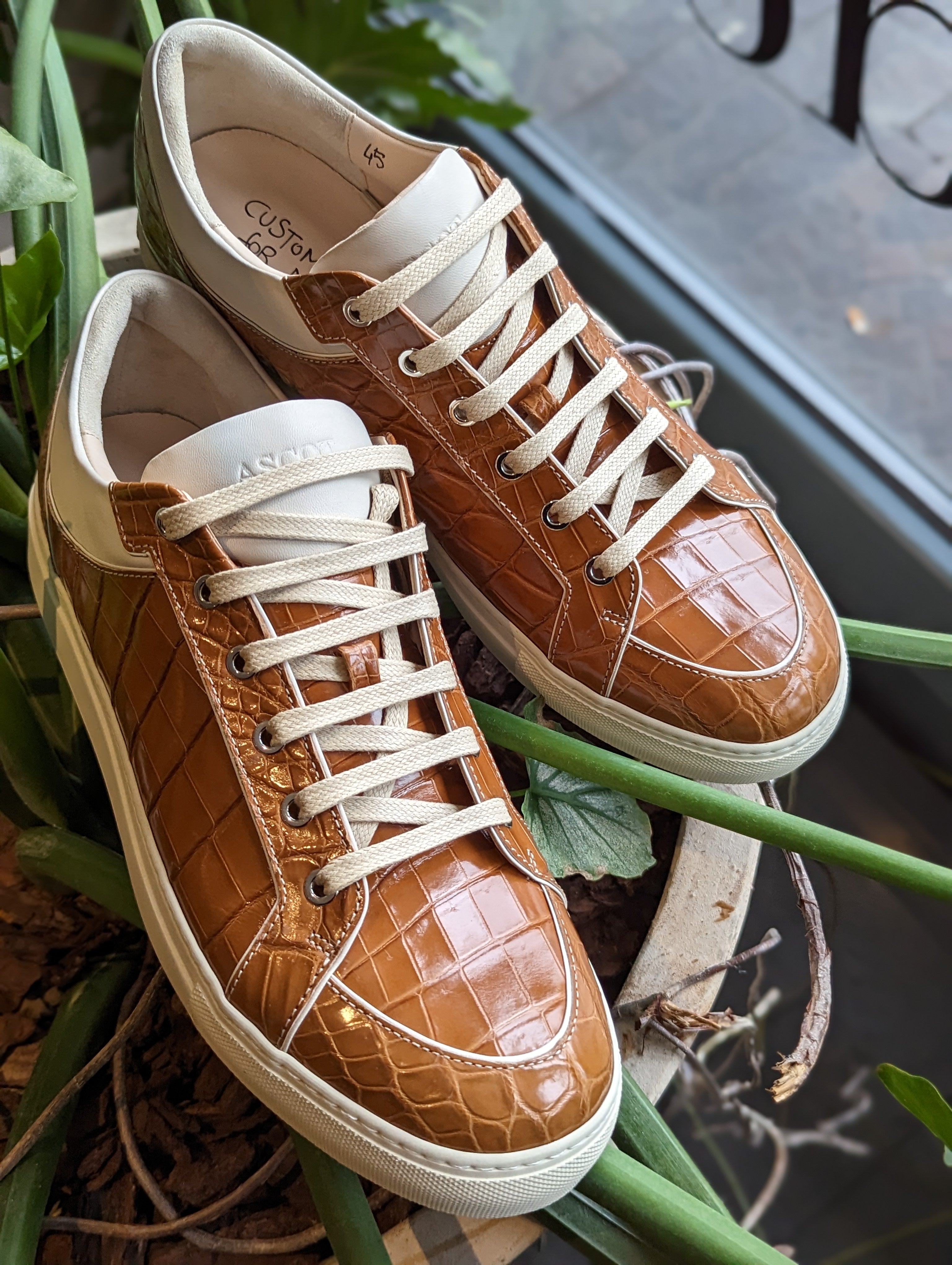 Ascot Sneakers - Tan Crocodile - Ascot Shoes