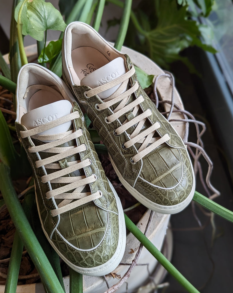 Ascot Sneakers - Olive Green Crocodile - Ascot Shoes