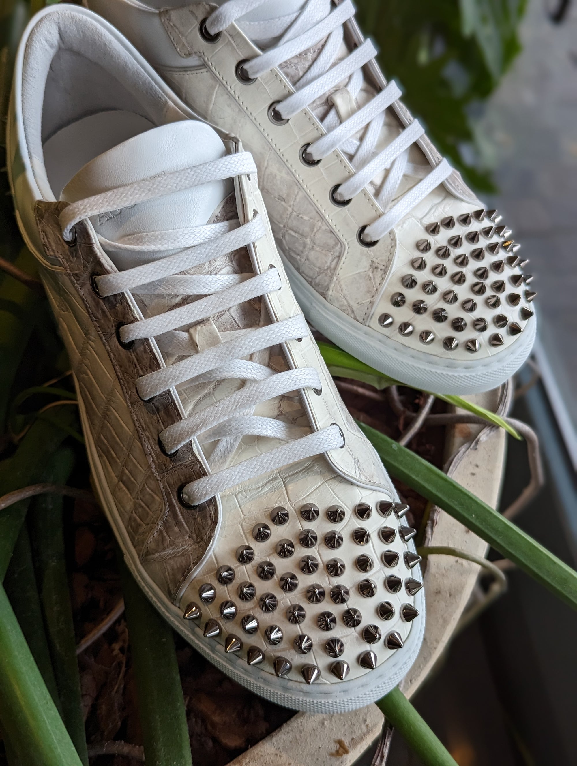 Ascot Sneakers - Himalayan Crocodile with Studs - Ascot Shoes