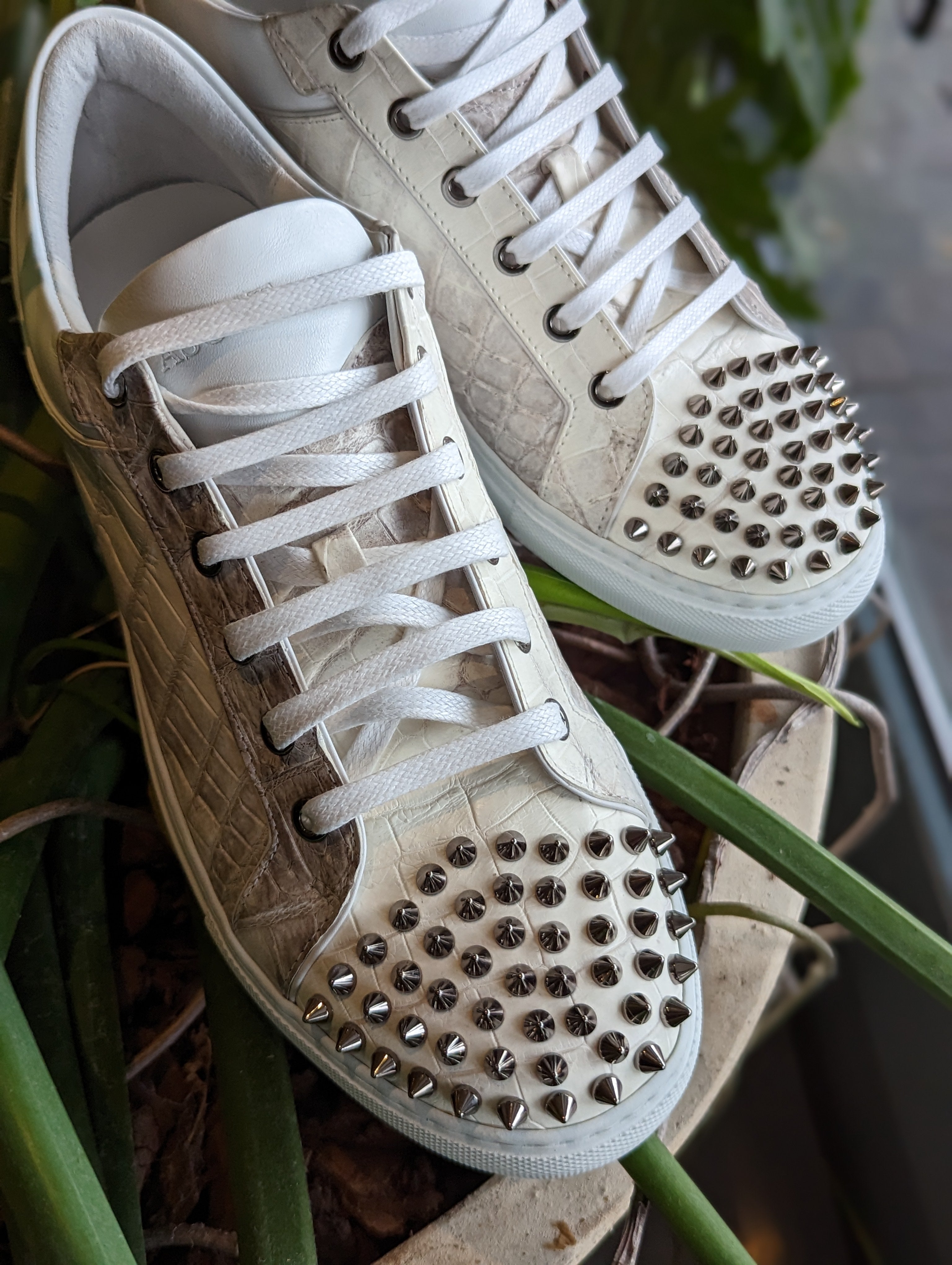 Ascot Sneakers - Himalayan Crocodile with Studs - Ascot Shoes