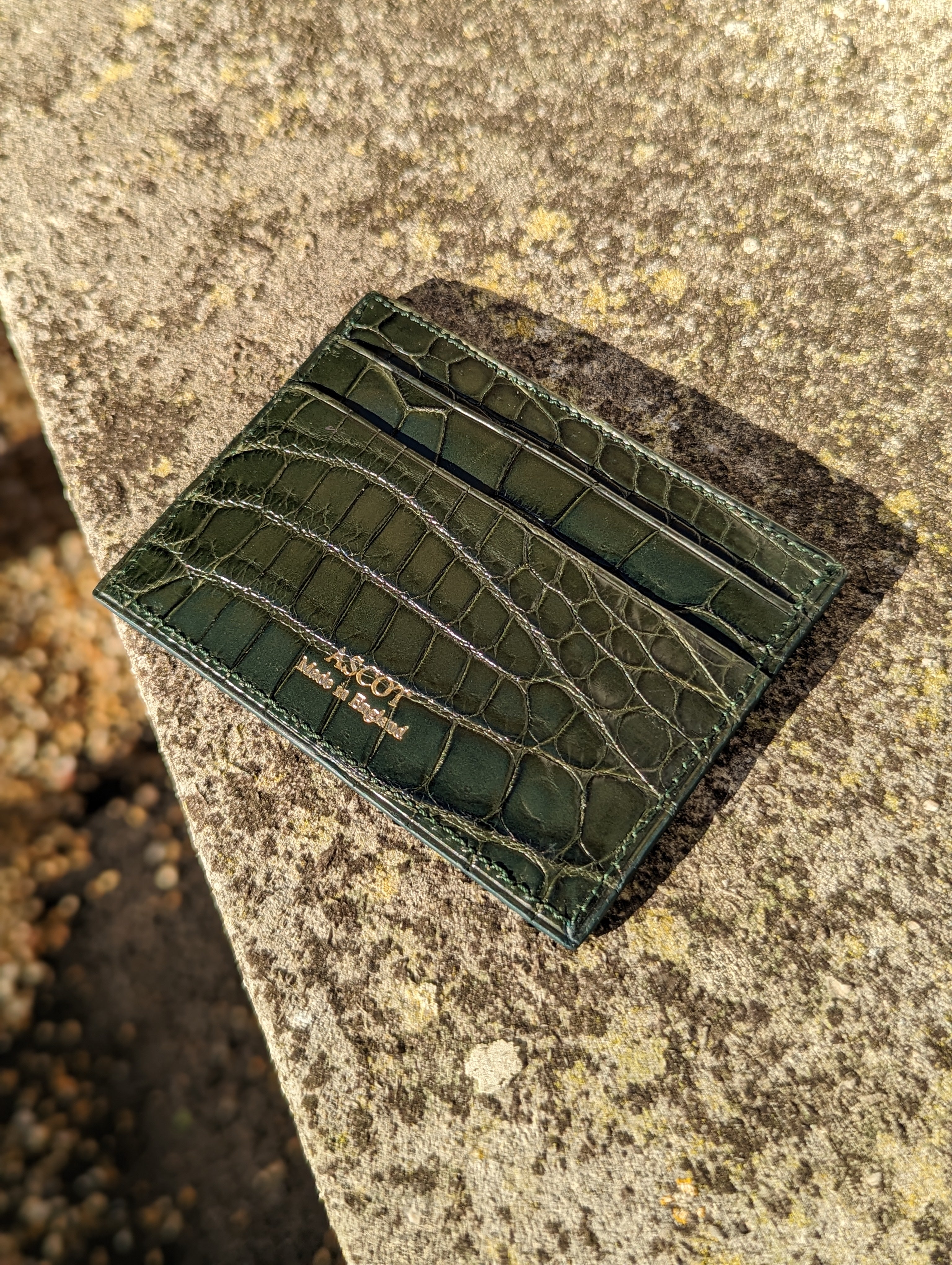 Credit Card Slip - Dark Green Crocodile - Ascot Shoes