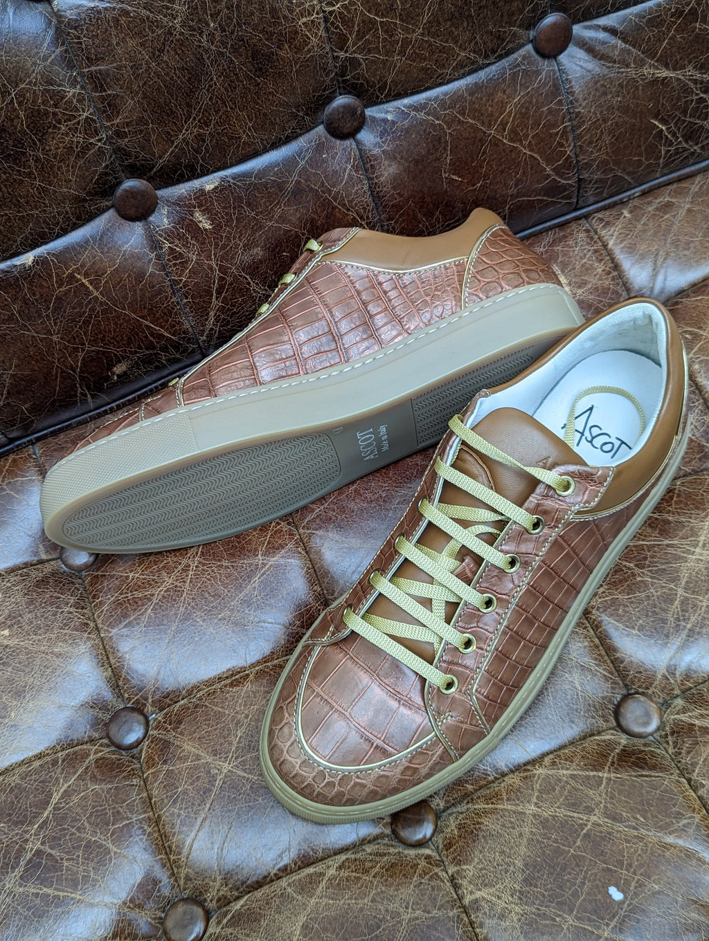 Ascot Sneaker - Tan/Gold Crocodile, UK 10 - Ascot Shoes