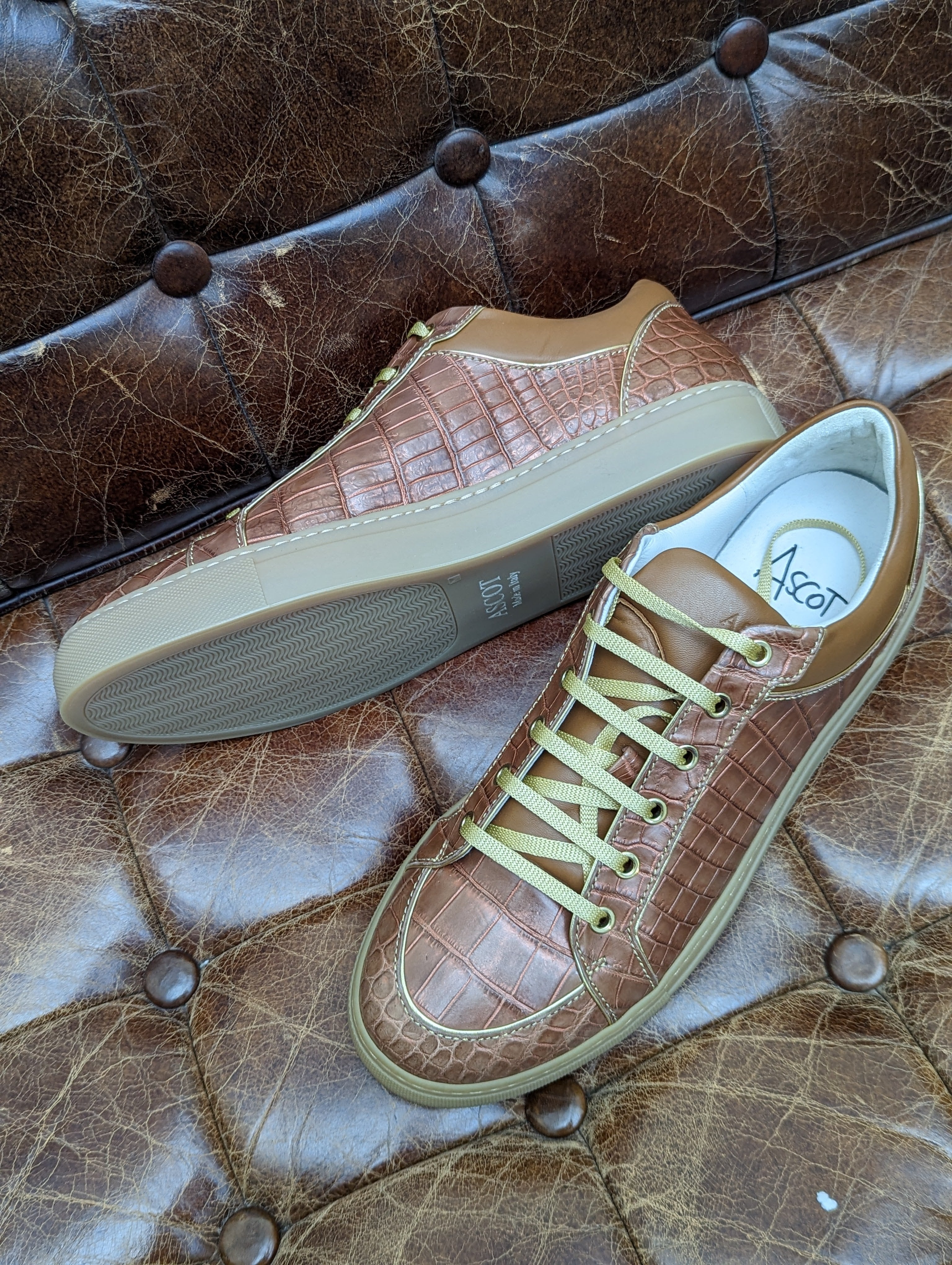 Ascot Sneaker - Tan/Gold Crocodile, UK 10 - Ascot Shoes