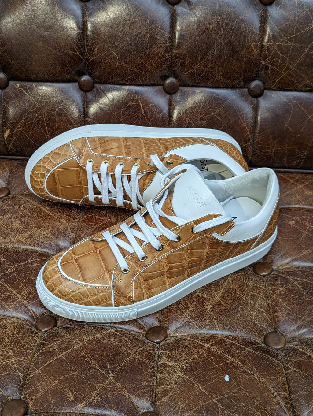 Ascot Sneaker - Tan Crocodile, UK 9 - Ascot Shoes