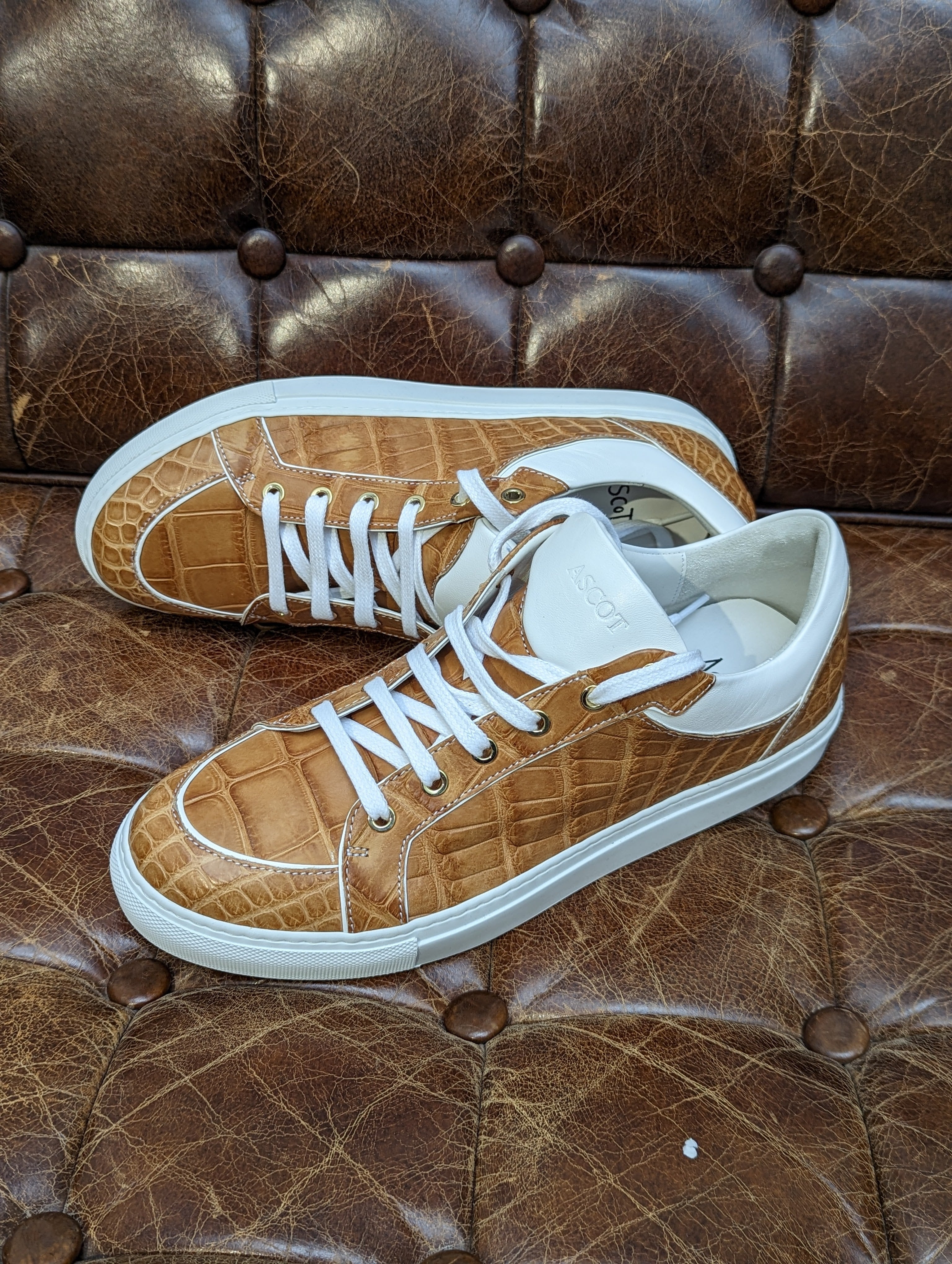 Ascot Sneaker - Tan Crocodile, UK 9 - Ascot Shoes